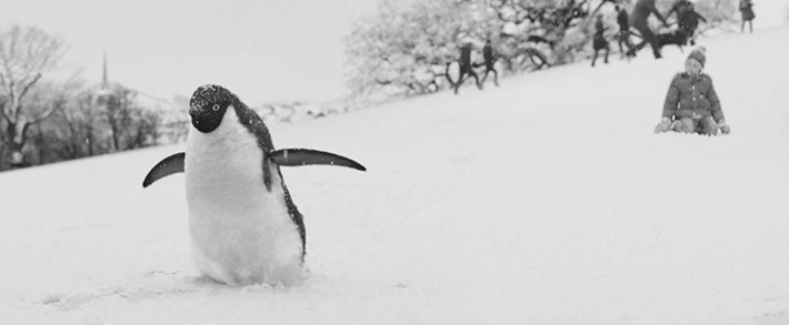 Trop Bon Trop Com - #TBTC John Lewis : Monty le Pingouin