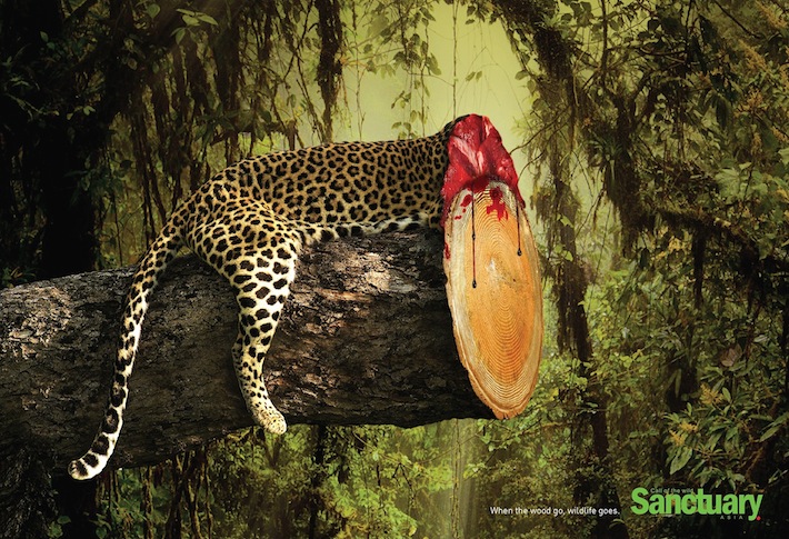 Sanctuary-Wildlife-Presse-Pub-Animaux-Print-Ad-Advertisng-Prevention-2014-TBTC-G-Communication-02