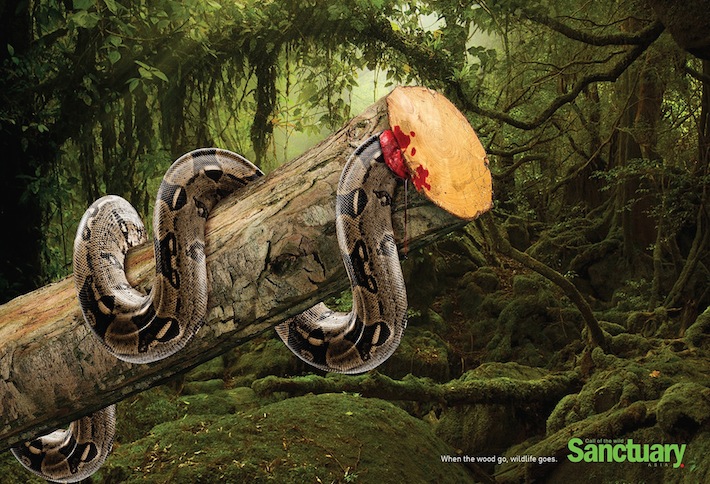 Sanctuary-Wildlife-Presse-Pub-Animaux-Print-Ad-Advertisng-Prevention-2014-TBTC-G-Communication-04