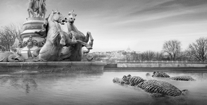 Trop Bon Trop Com - #TBTC Le Parc Zoologique de Paris : Paris redevient sauvage 4