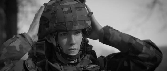 Irish Defence Forces