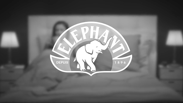 Eléphant thé